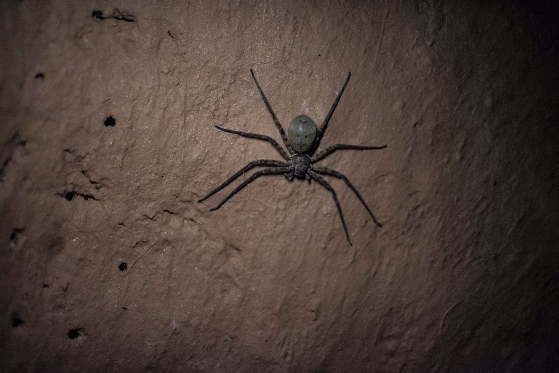 © Maria  Contreras Coll - Image from the Journey To Impurity photography project