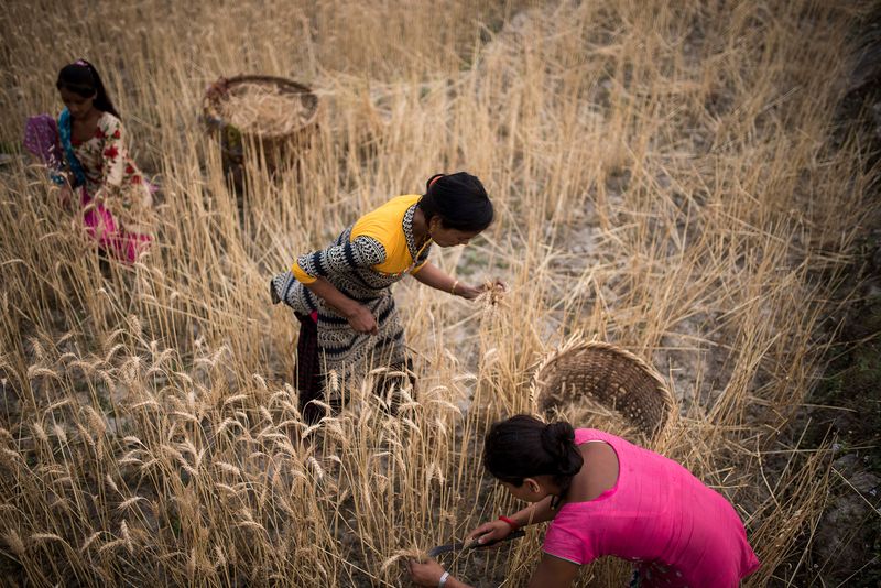 © Maria  Contreras Coll - Image from the Journey To Impurity photography project
