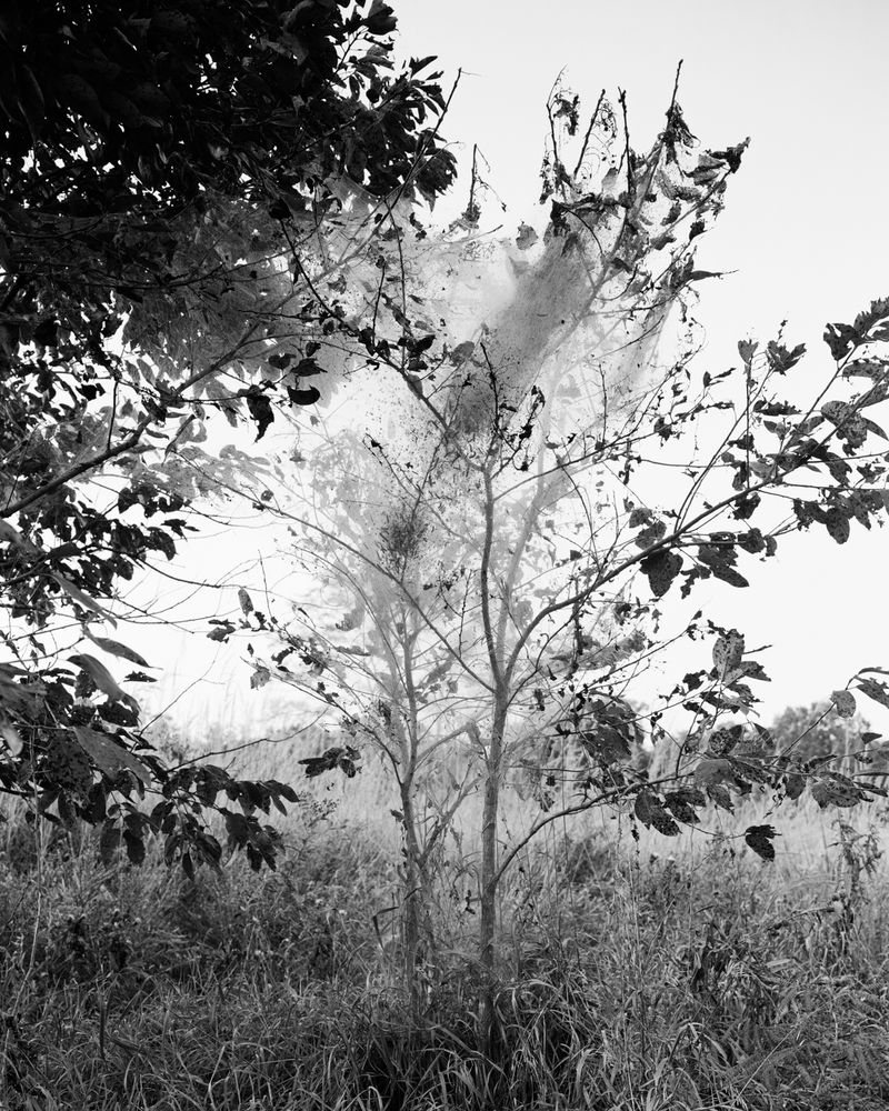 © Angela Shaffer - Image from the for dear life photography project