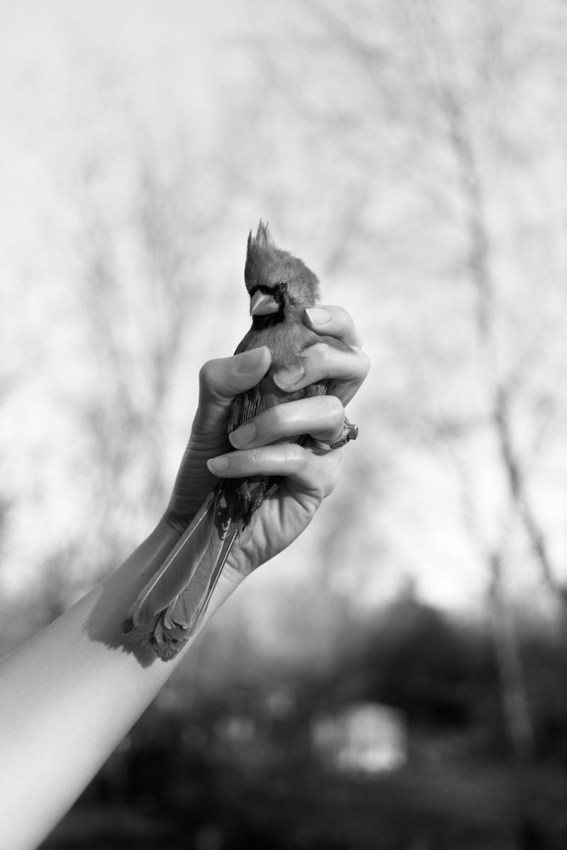 © Angela Shaffer - Image from the for dear life photography project