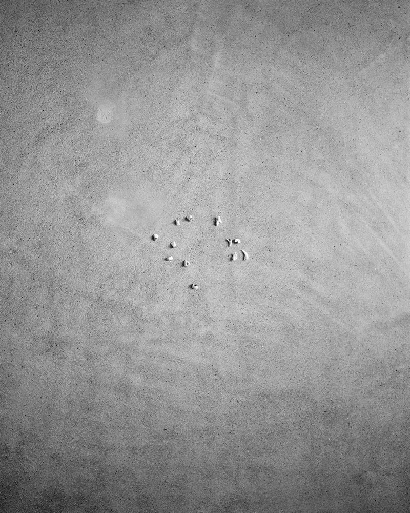 © Angela Shaffer - Image from the for dear life photography project