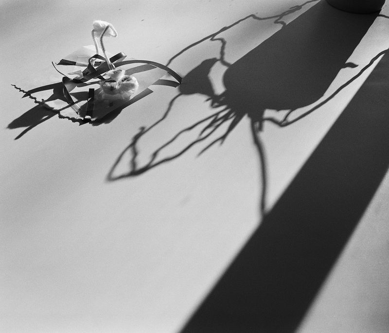 © Angela Shaffer - Image from the The Impermanent Strip of Light photography project