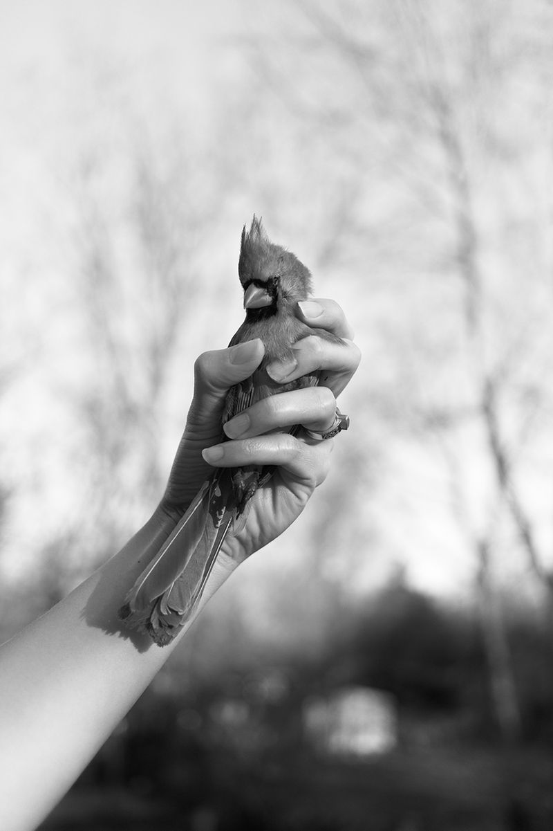© Angela Shaffer - Image from the The Impermanent Strip of Light photography project