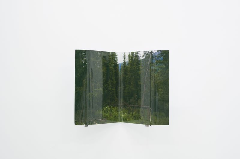 © Tian Hang - Forest