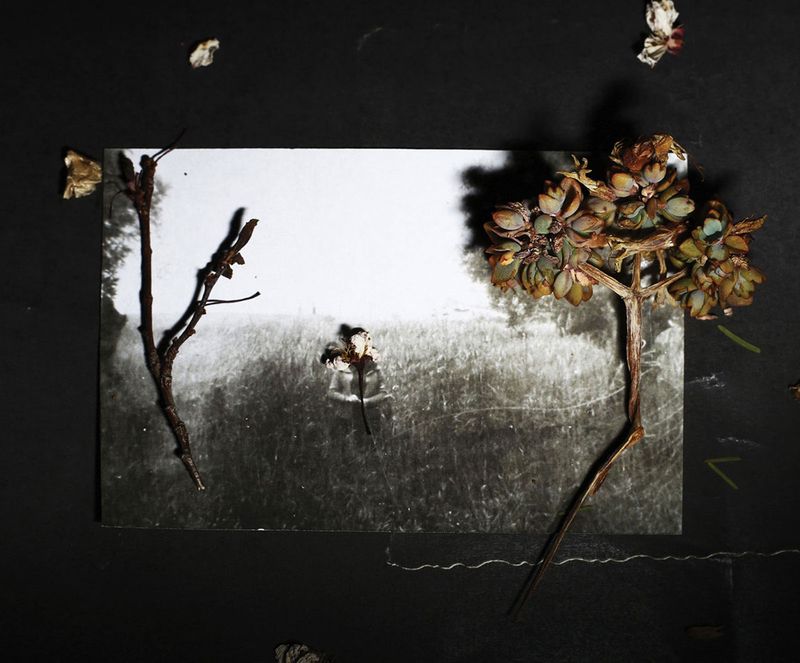 © AIMILIA BALASKA - Image from the DOTTER photography project