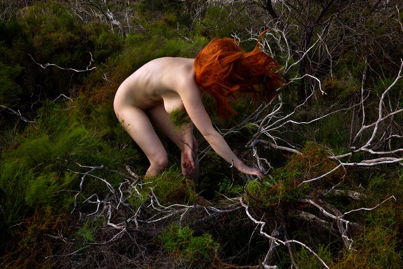 © Lilli Waters - From Where We Came