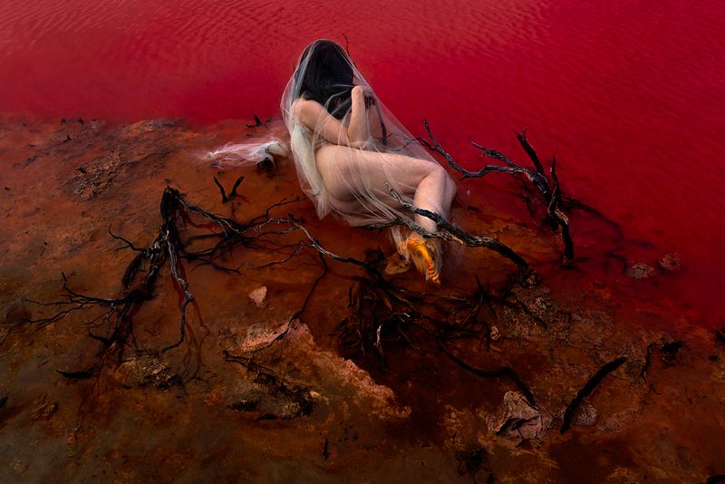 © Lilli Waters - Sanctuary