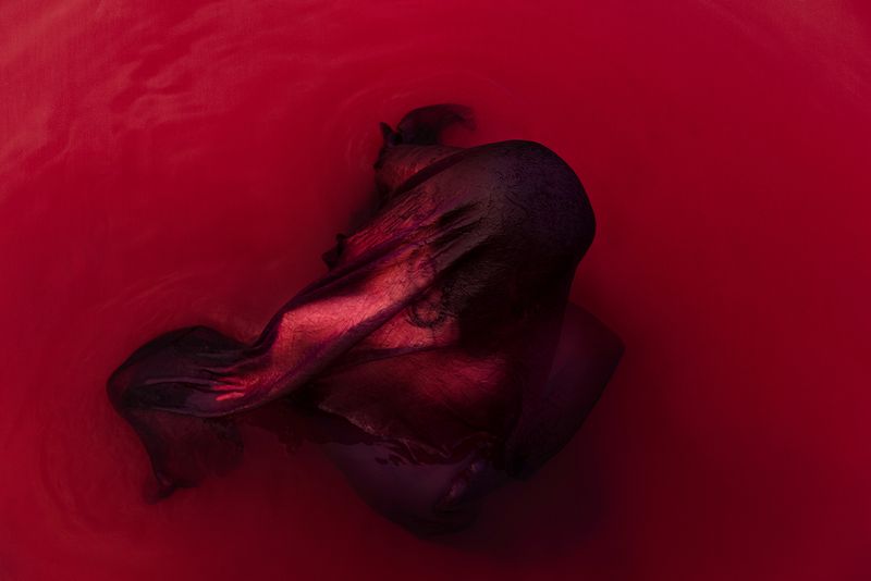 © Lilli Waters - The Veil