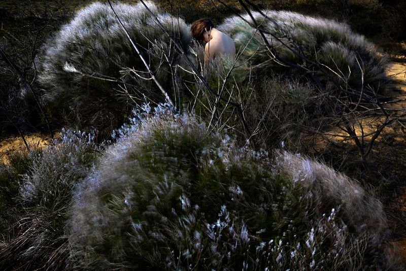 © Lilli Waters - The Road Before