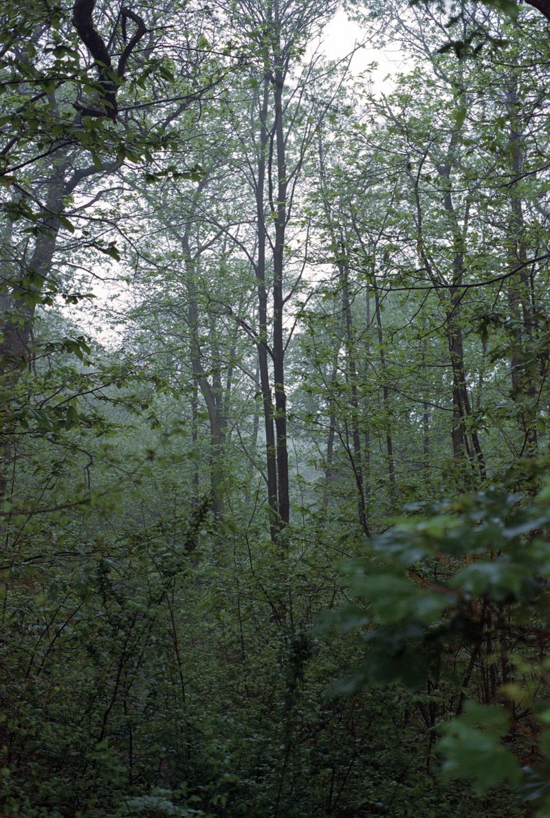 © Nathalie Ghanem-Latour - Image from the Six Months photography project