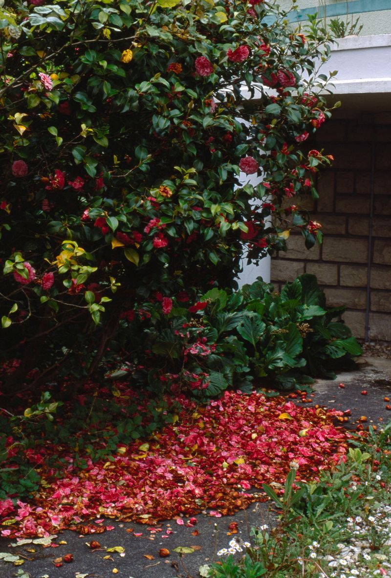 © Nathalie Ghanem-Latour - Image from the Six Months photography project