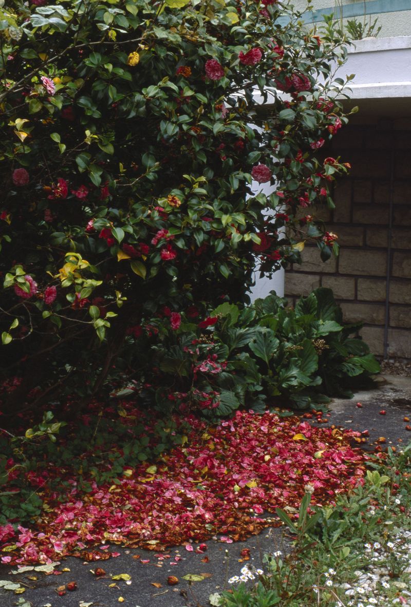 © Nathalie Ghanem-Latour - Image from the Six Months photography project