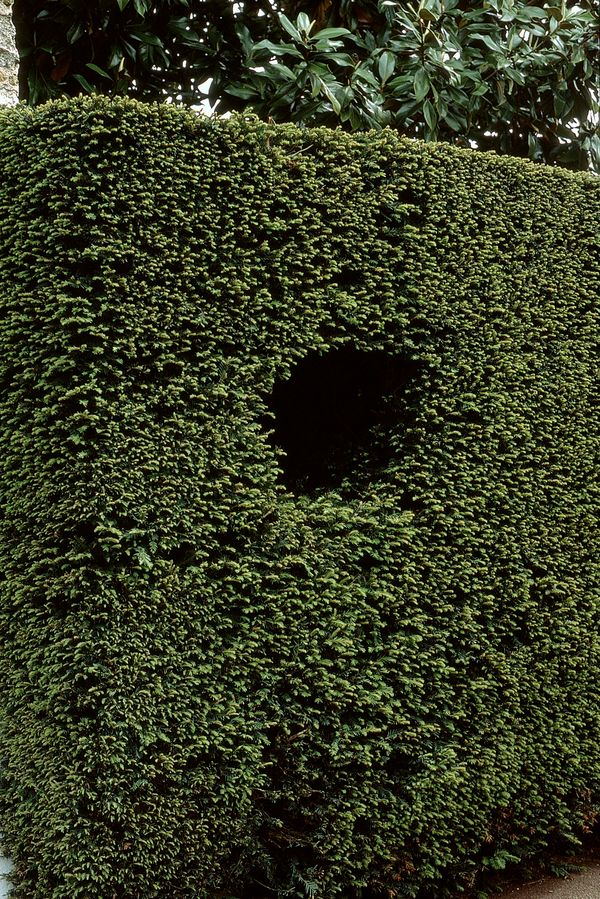 © Nathalie Ghanem-Latour - Image from the Six Months photography project