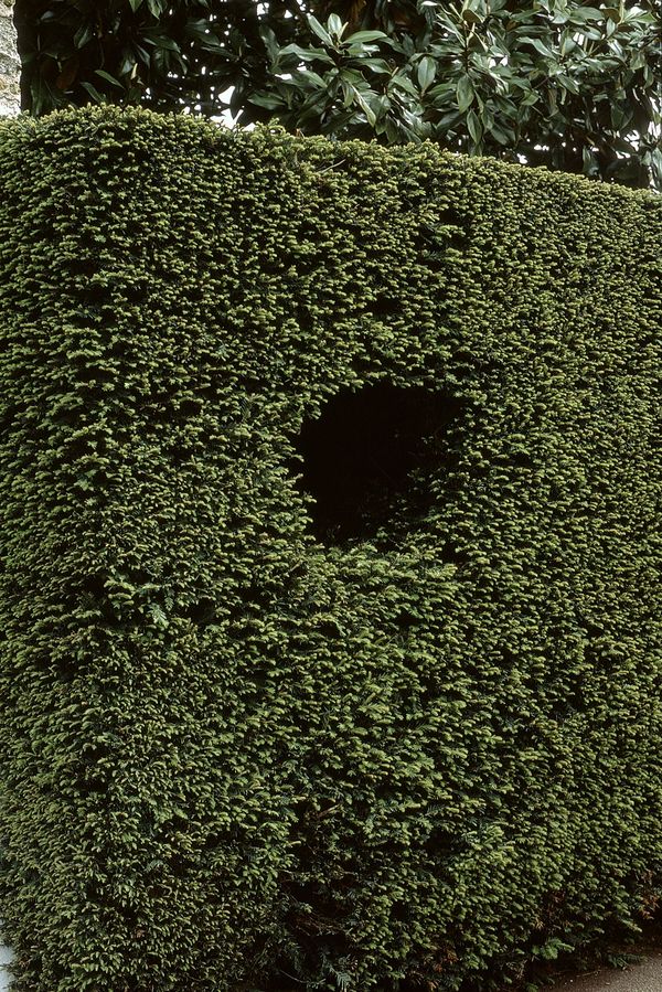 © Nathalie Ghanem-Latour - Image from the Six Months photography project