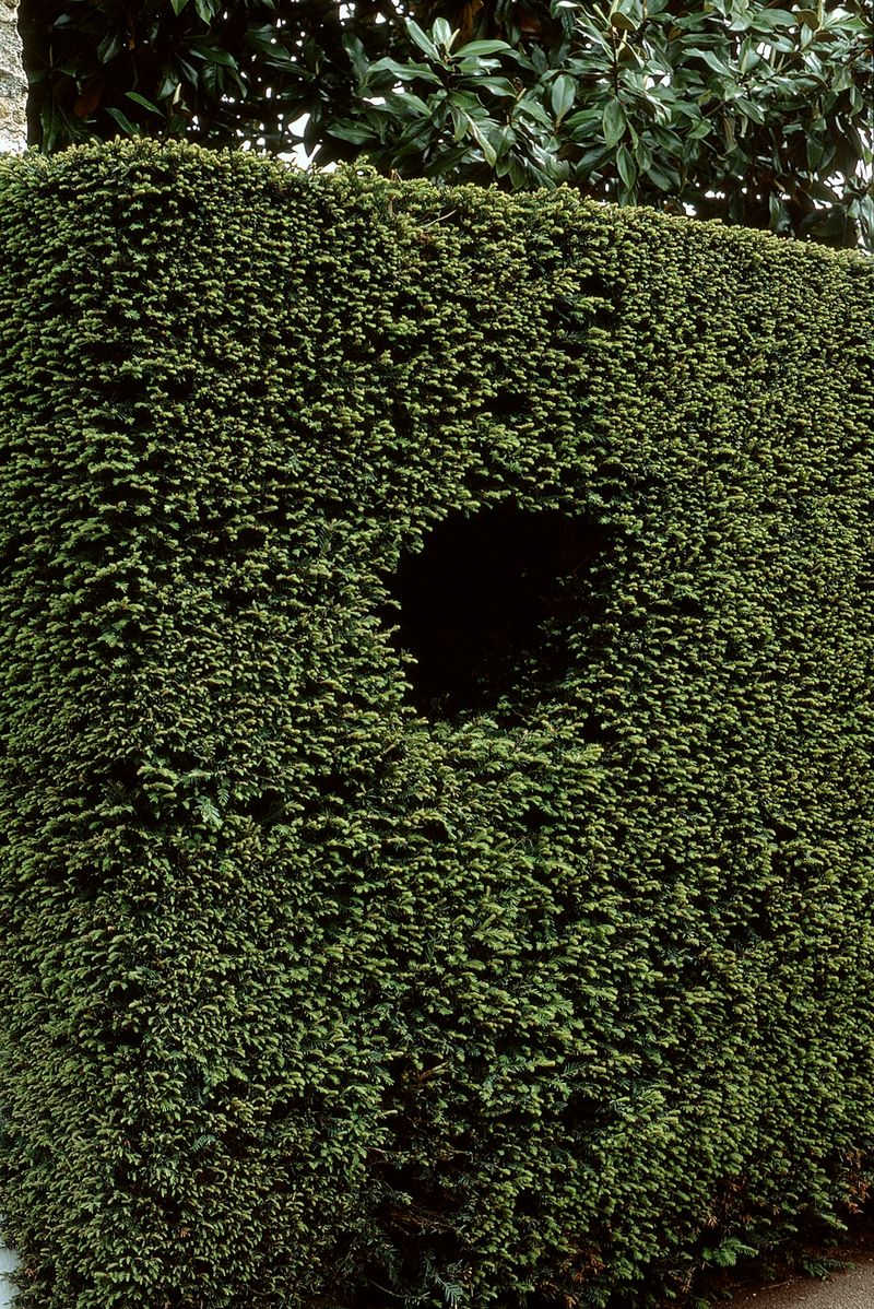 © Nathalie Ghanem-Latour - Image from the Six Months photography project