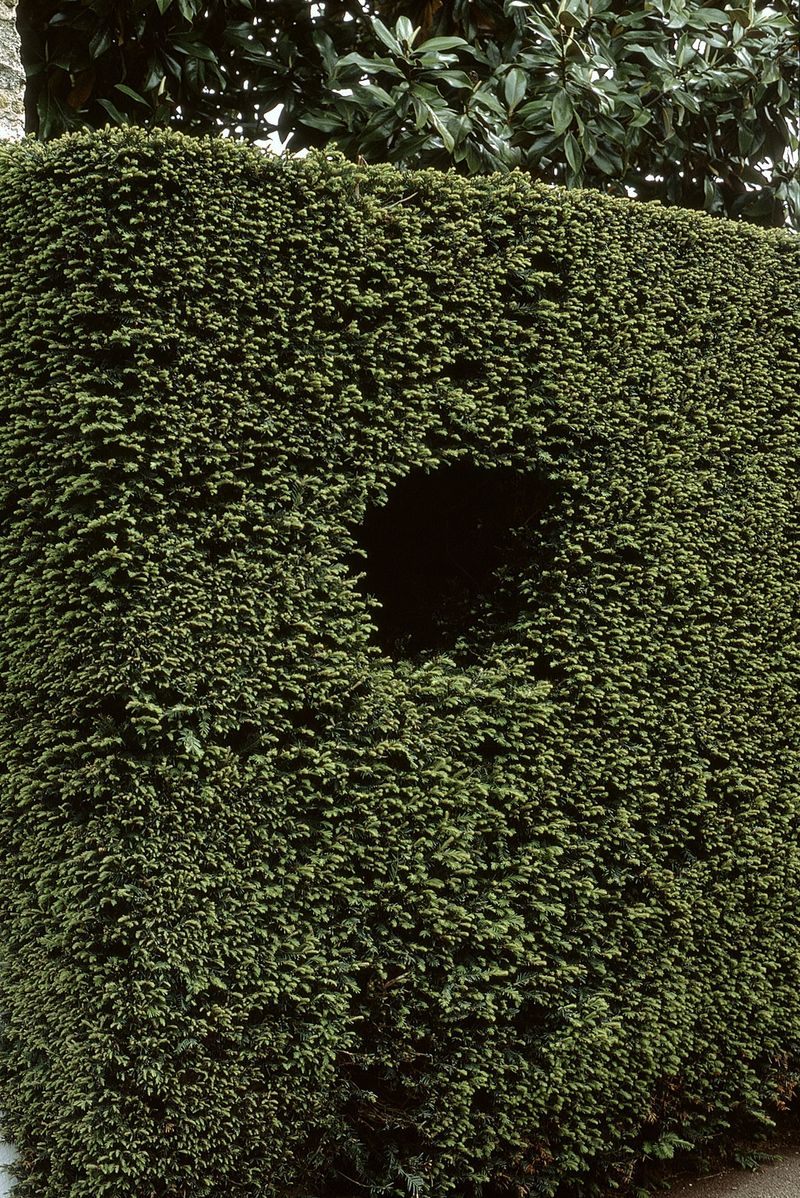 © Nathalie Ghanem-Latour - Image from the Six Months photography project