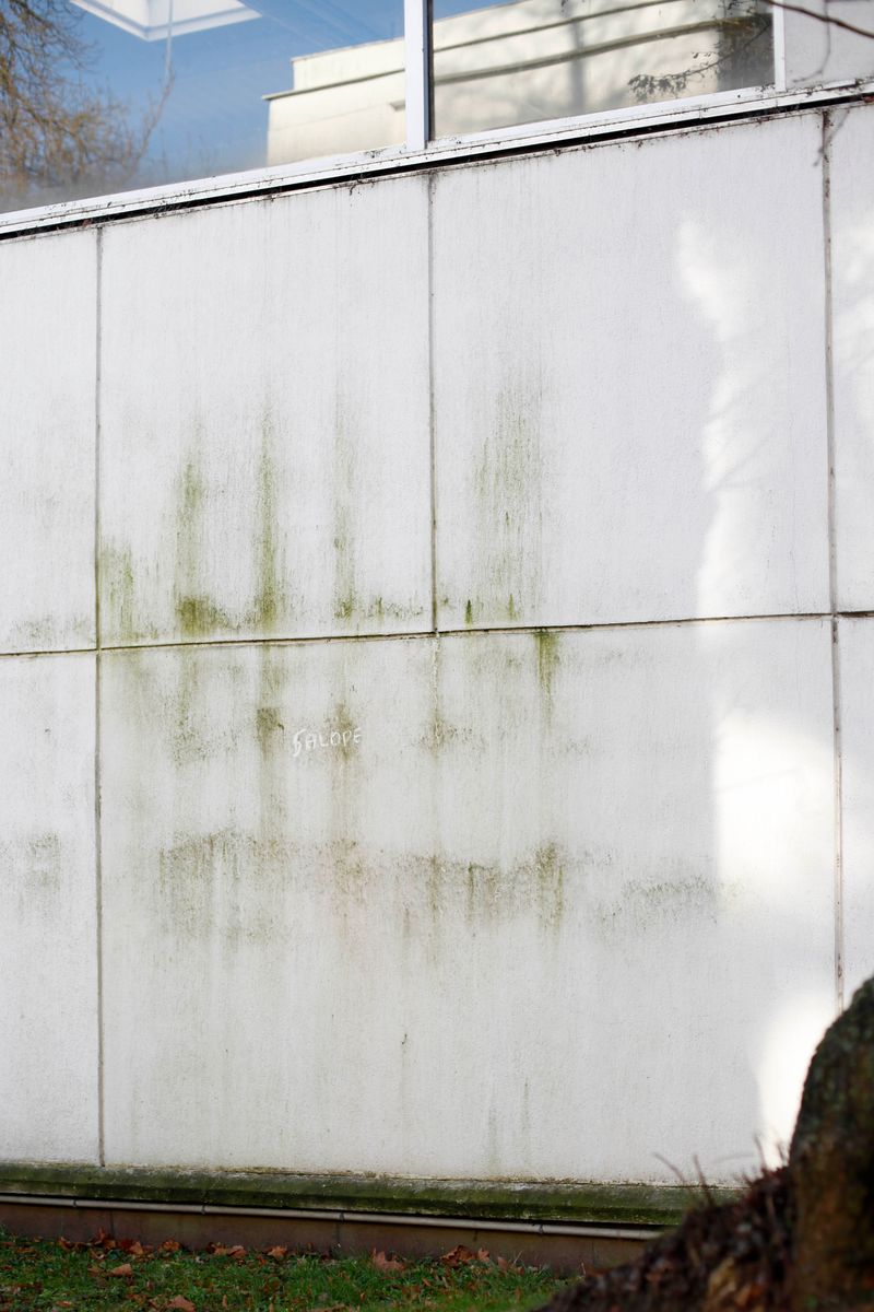 © Nathalie Ghanem-Latour - Image from the Six Months photography project