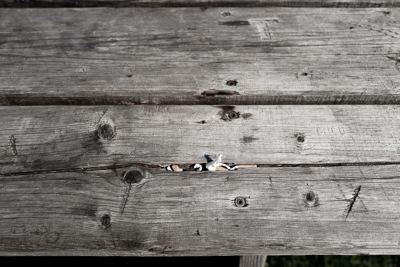 © Sandra Guldemann Duchatellier - Image from the Distance photography project