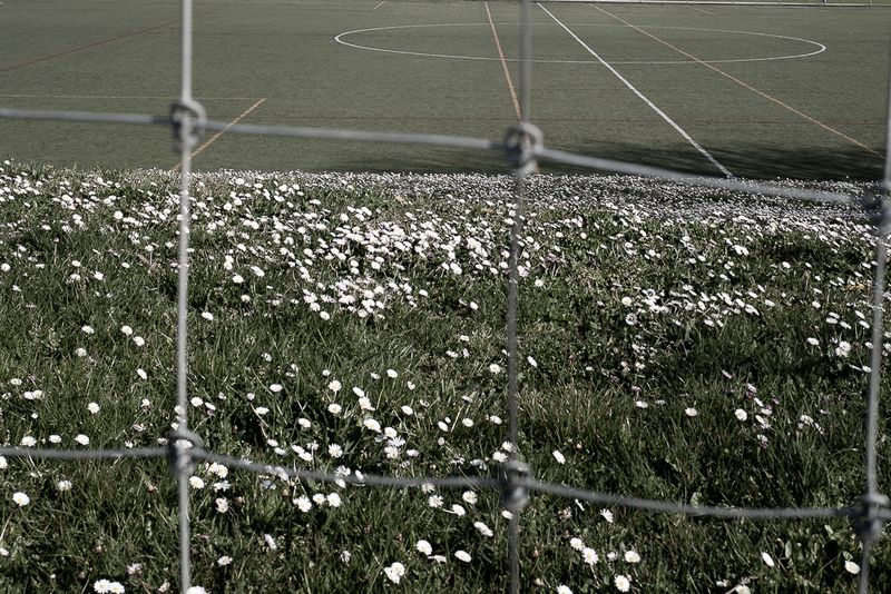 © Sandra Guldemann Duchatellier - Image from the Distance photography project