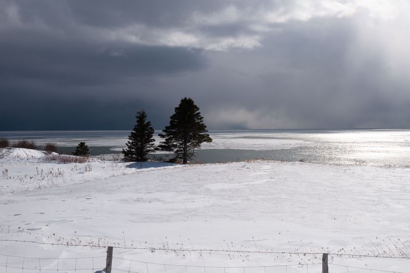 © Sandra Guldemann Duchatellier - Image from the My reason for being here photography project