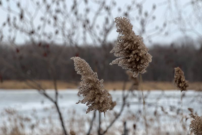 © Sandra Guldemann Duchatellier - Image from the My reason for being here photography project