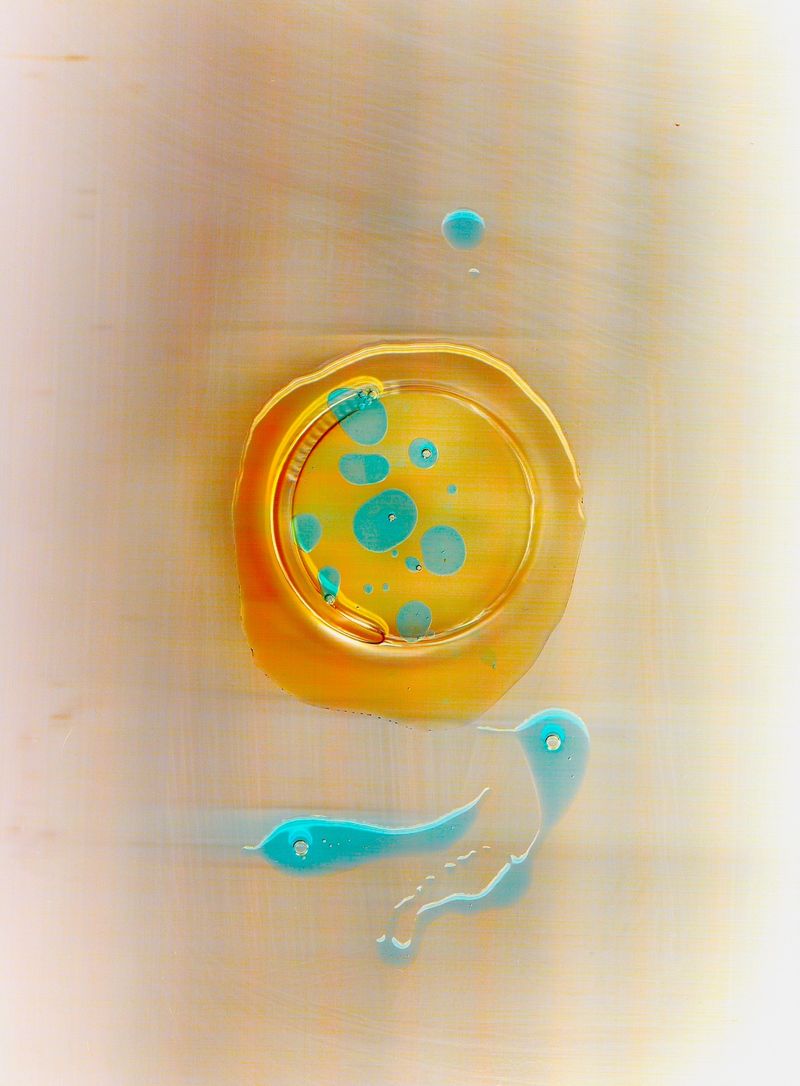 © Sebastian Scioli - Image from the Strange Common Scan photography project