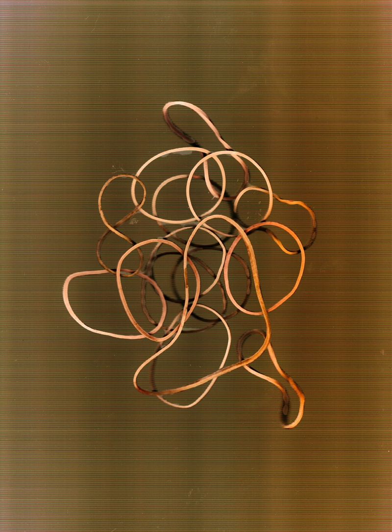 © Sebastian Scioli - Image from the Strange Common Scan photography project