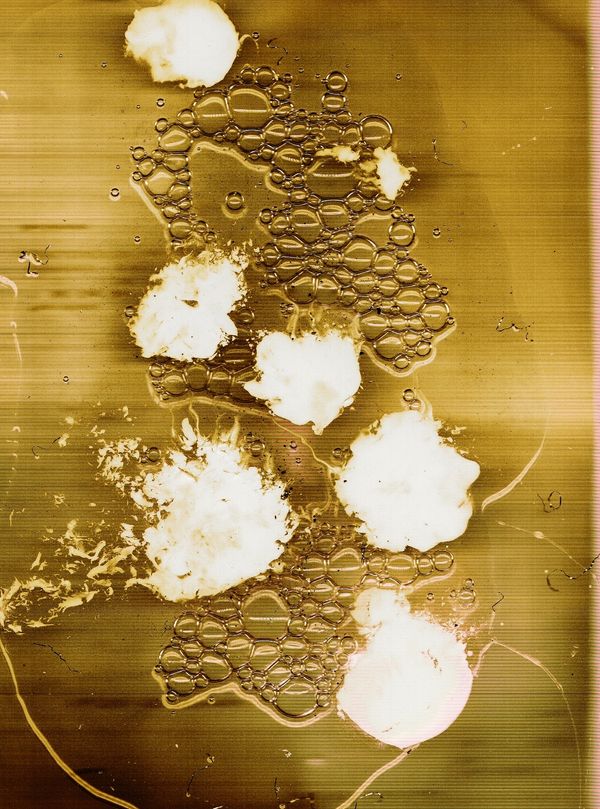 © Sebastian Scioli - Image from the Strange Common Scan photography project