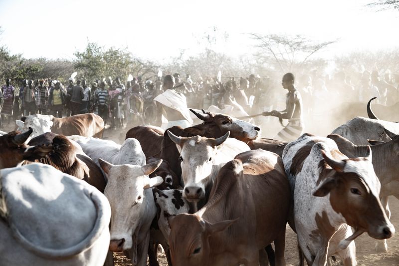 © Anthea Spivey - Image from the Hamer Bull Jumping Ceremony - Ethiopia photography project