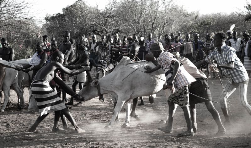 © Anthea Spivey - Image from the Hamer Bull Jumping Ceremony - Ethiopia photography project