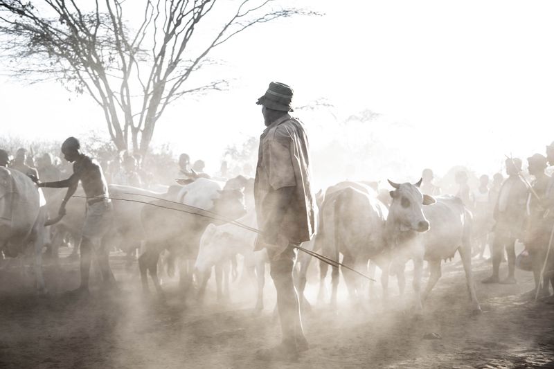 © Anthea Spivey - Image from the Hamer Bull Jumping Ceremony - Ethiopia photography project