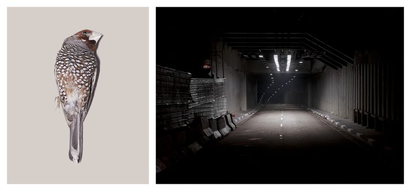 © Sebastian Palmer - I am scared of the unknown