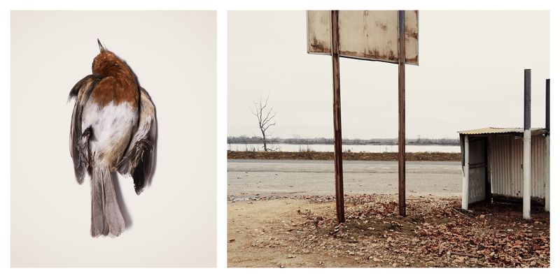 © Sebastian Palmer - I am lonely
