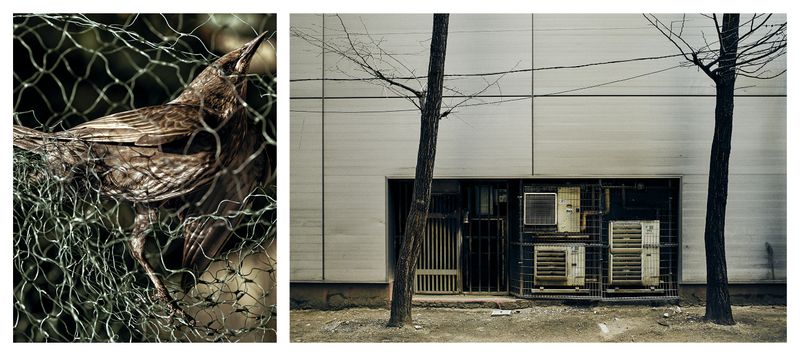 © Sebastian Palmer - I feel trapped