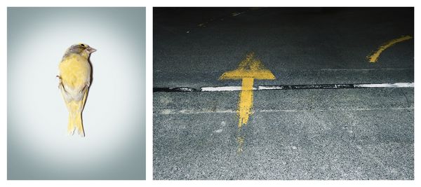 © Sebastian Palmer - I am lost