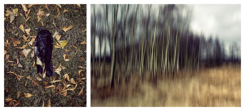 © Sebastian Palmer - I am confused and angry