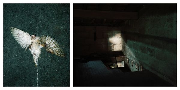 © Sebastian Palmer - I fear failure