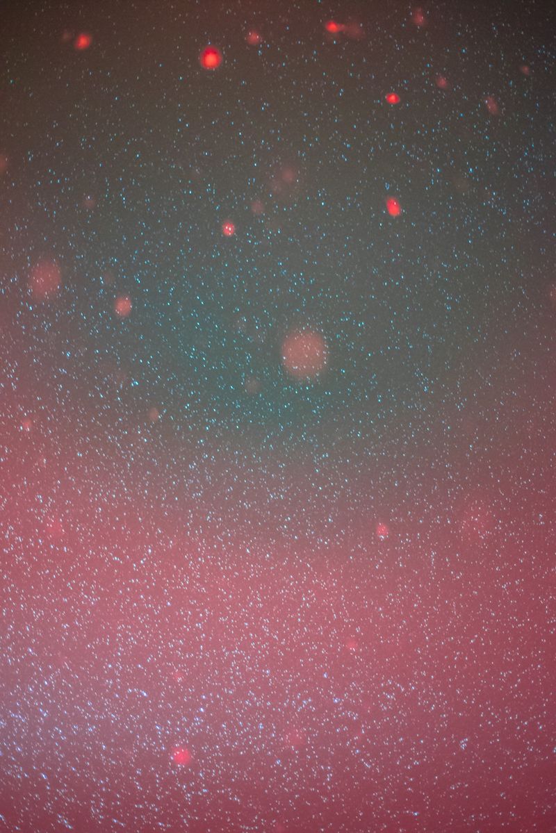 © Cristiano Volk - Image from the Laissez-faire photography project