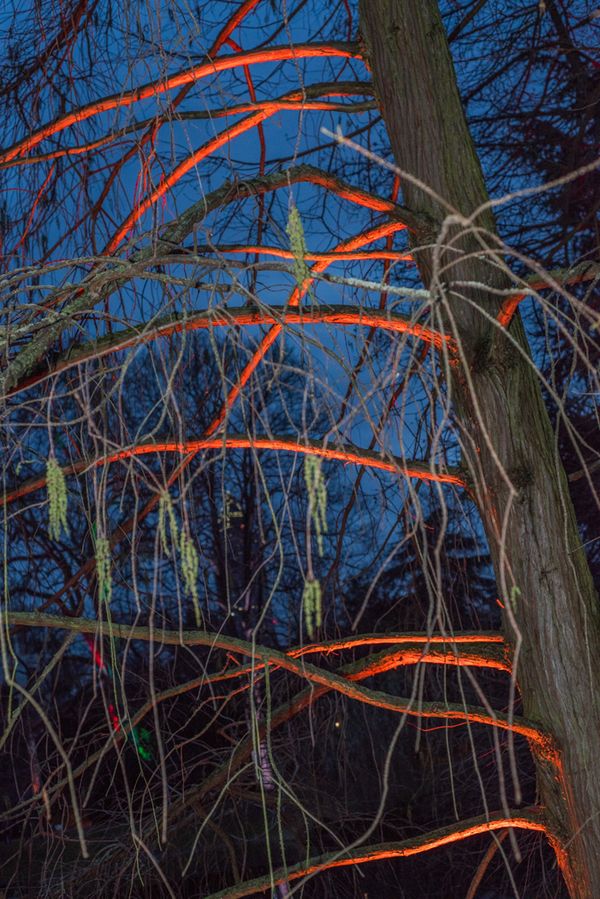 © Cristiano Volk - Image from the Laissez-faire photography project