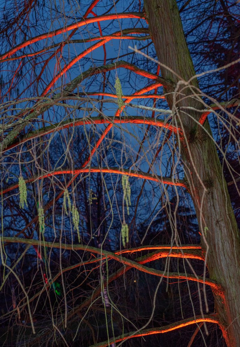 © Cristiano Volk - Image from the Laissez-Faire photography project