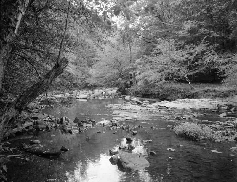 © Madison Speyer - The Eno River in summer