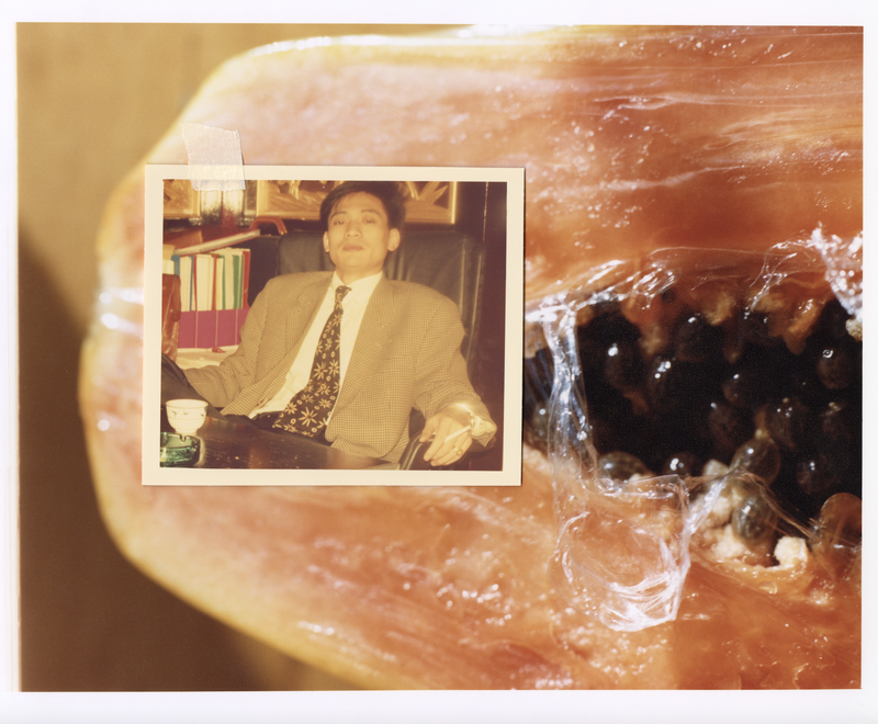 © Willian Zou - Papaya