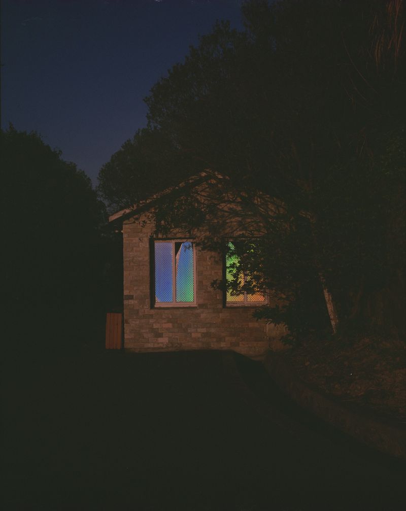 © Yan Shi - Image from the Plastic wings photography project