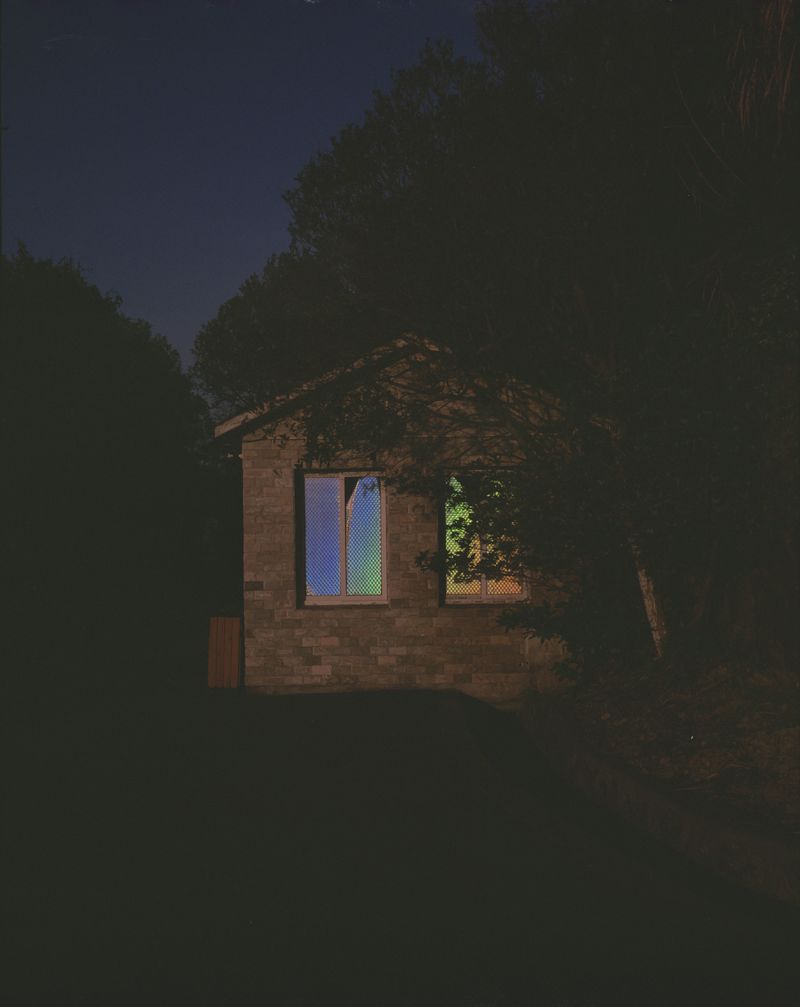 © Yan Shi - Image from the Plastic wings photography project