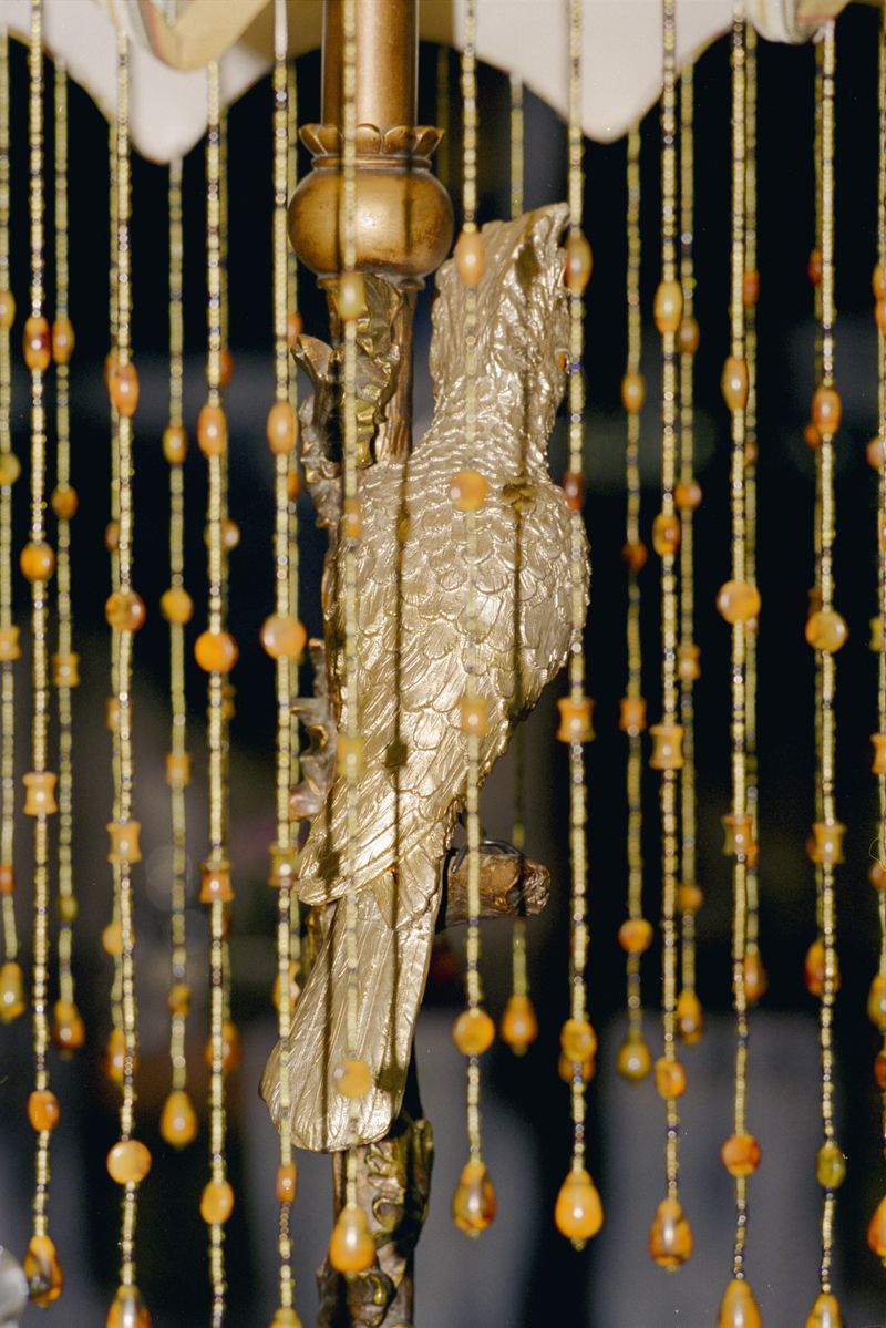 © Yan Shi - Image from the Plastic wings photography project