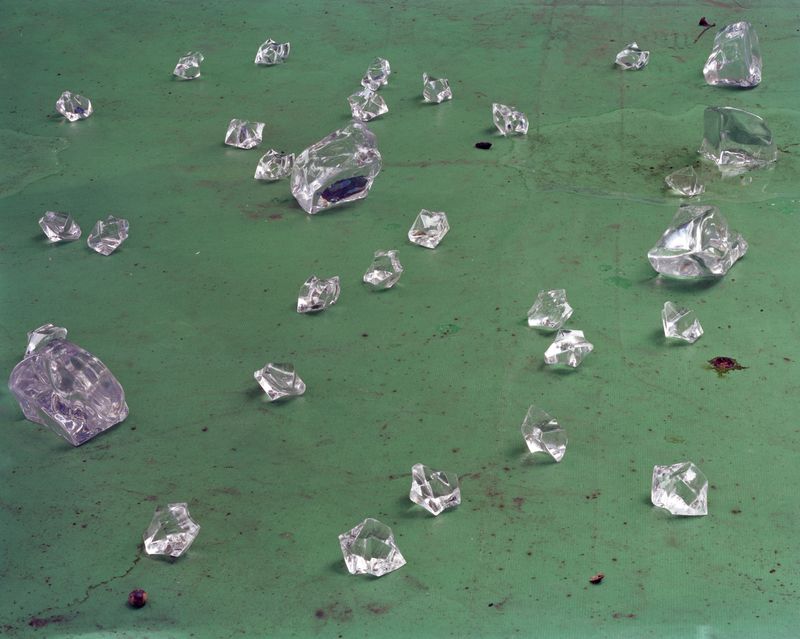 © Yan Shi - Image from the Plastic wings photography project