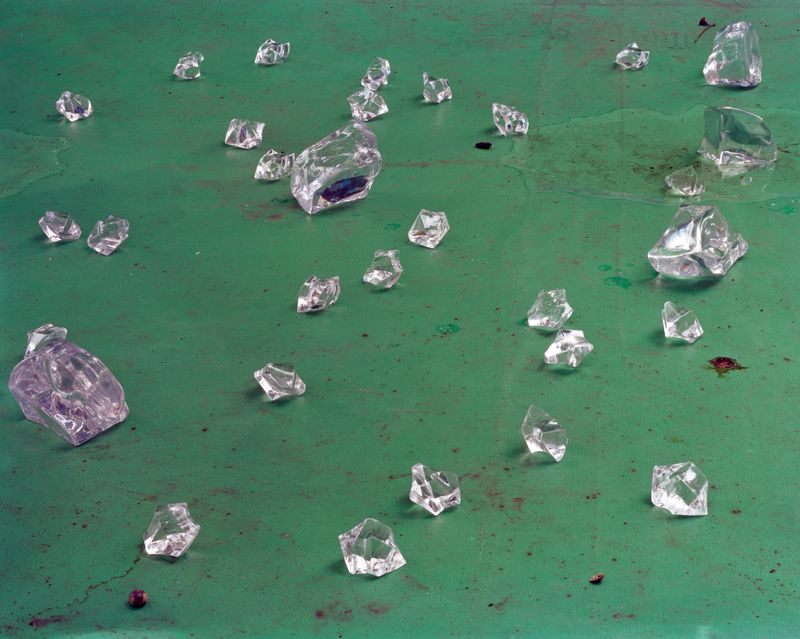 © Yan Shi - Image from the Plastic wings photography project