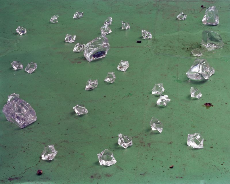 © Yan Shi - Image from the Plastic wings photography project