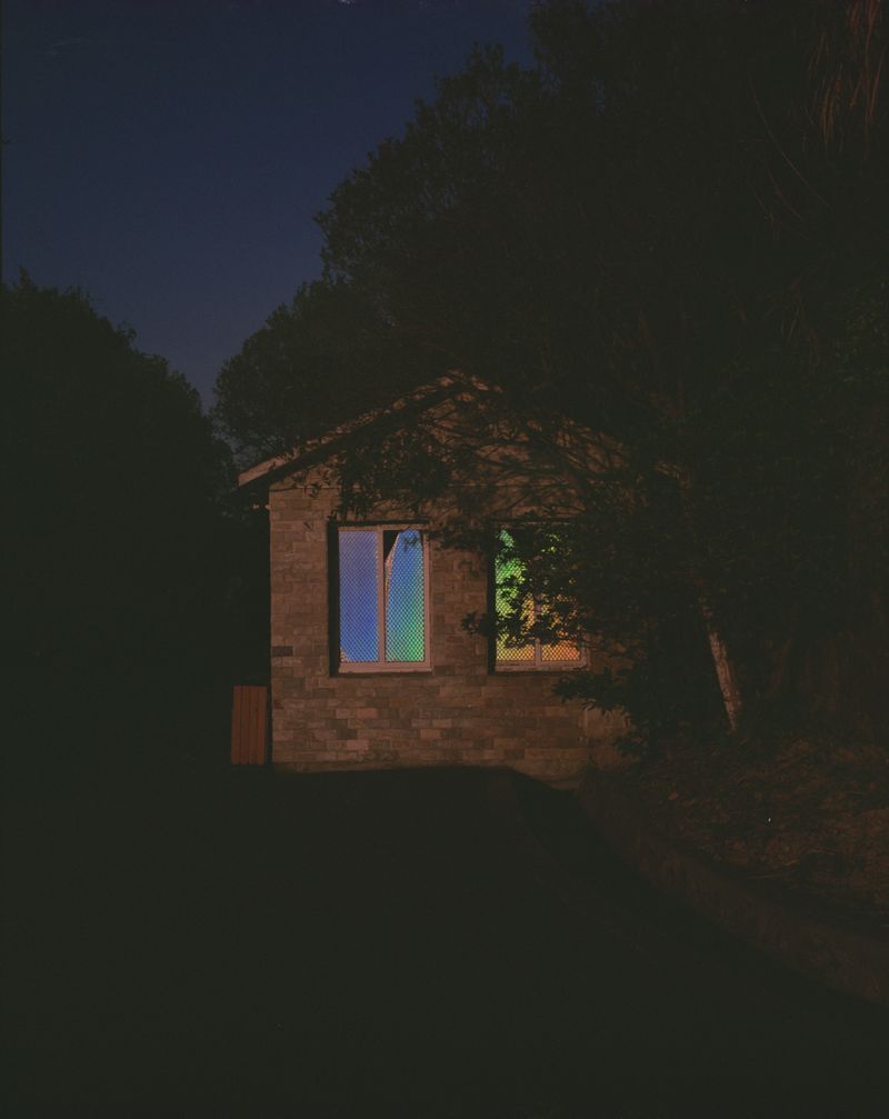 © Yan Shi - Image from the Plastic wings photography project