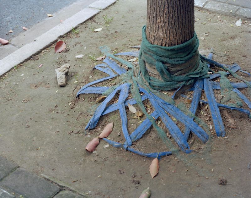 © Yan Shi - Image from the Plastic wings photography project